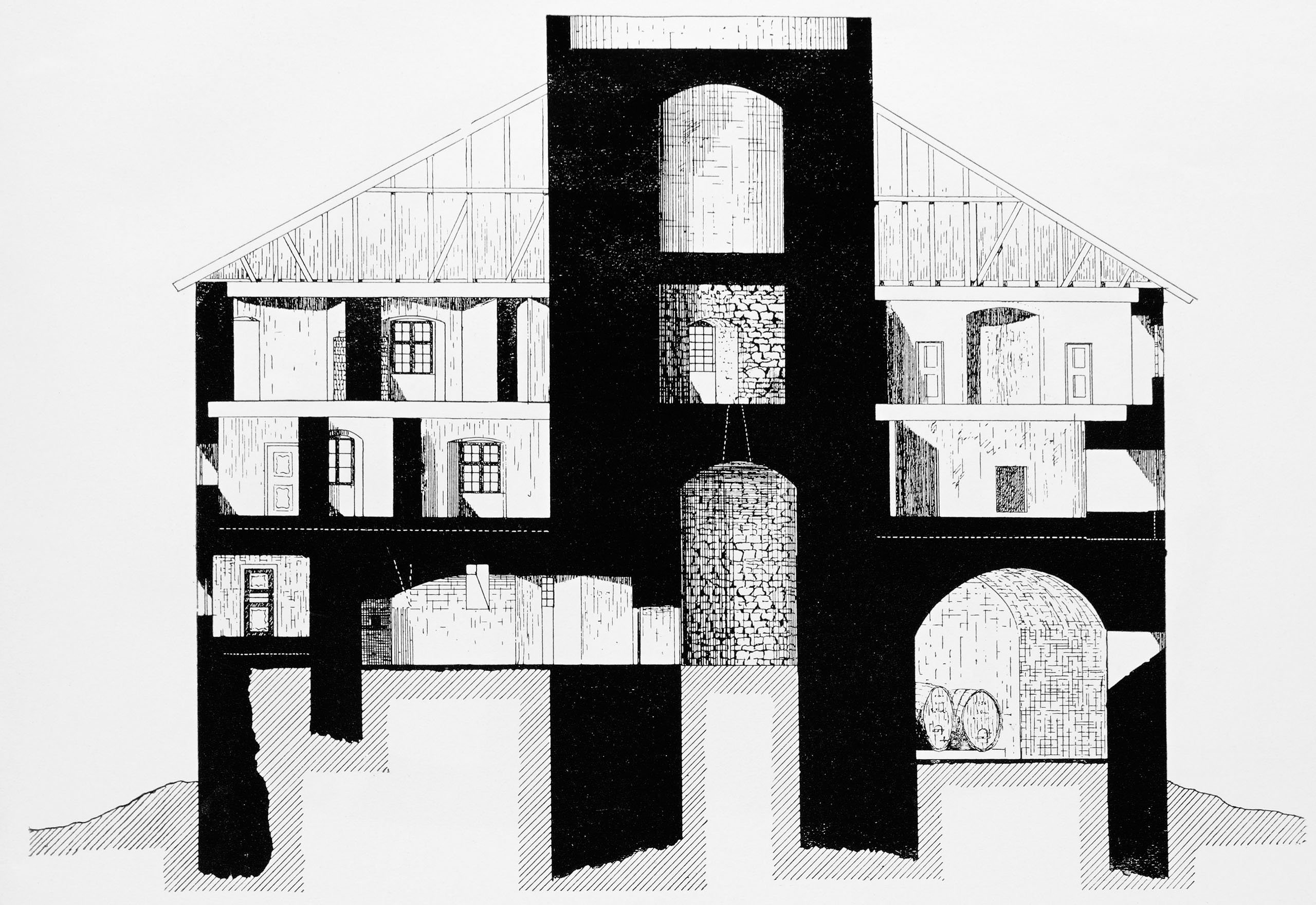 E17644 ZW14 fuji 0015